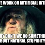 AI vs stupidity | BEFORE WE WORK ON ARTIFICIAL INTELLIGENCE; WHY DON'T WE DO SOMETHING ABOUT NATURAL STUPIDITY? | image tagged in gandalf no memory,ai,human stupidity,stupidity | made w/ Imgflip meme maker