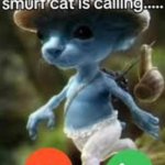 Smurfcat call