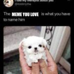 meme | MEME YOU LOVE | image tagged in what the name | made w/ Imgflip meme maker