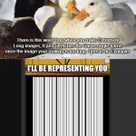 Ducks books