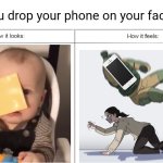 We've all had this moment at least once, right? | POV: you drop your phone on your face in bed | image tagged in how it looks vs how it feels | made w/ Imgflip meme maker
