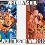 These are the sequles you are looking for | WHEN I WAS KID, THESE WERE THE STAR WARS SEQUELS. | image tagged in ewoks movies | made w/ Imgflip meme maker