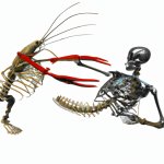 skeleton fighting with lobster