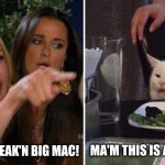 Angry lady cat | I WANT A FREAK'N BIG MAC! MA'M THIS IS A WENDY'S! | image tagged in angry lady cat | made w/ Imgflip meme maker
