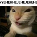 NYEHEHHEJEHEJEHEHE meme