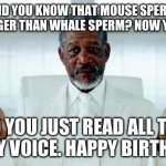 God Morgan Freeman | DID YOU KNOW THAT MOUSE SPERM IS LONGER THAN WHALE SPERM? NOW YOU DO. AND YOU JUST READ ALL THAT IN MY VOICE. HAPPY BIRTHDAY. | image tagged in god morgan freeman | made w/ Imgflip meme maker