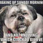 Daylight Savings Time Change | WAKING UP SUNDAY MORNING; AND NOT KNOWING WHICH CLOCK TO BELIEVE | image tagged in confused dog | made w/ Imgflip meme maker