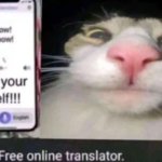 Online translator