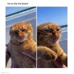 He no like the beach