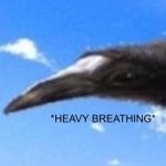 Heavy breathing bird
