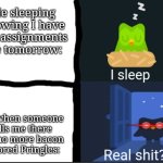 So true | Me sleeping knowing I have 300 assignments due tomorrow:; Me when someone tells me there are no more bacon flavored Pringles: | image tagged in i sleep real shit duolingo version,pringles,noooooooooooooooooooooooo,relatable memes,funny | made w/ Imgflip meme maker