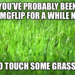TOUCH IT | YOU’VE PROBABLY BEEN ON IMGFLIP FOR A WHILE NOW, GO TOUCH SOME GRASS :) | image tagged in grass is greener | made w/ Imgflip meme maker