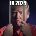 The Future | IN 2024 | image tagged in donald trump tax cheat in jail lock him up | made w/ Imgflip meme maker