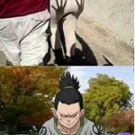 shikamaru greatest ability meme