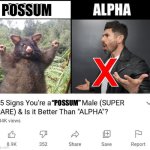 Are you a Possum Male? | POSSUM; “POSSUM” | image tagged in 15 signs your a,possum,cute animals,animal meme,funny animal meme | made w/ Imgflip meme maker