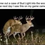 Threw out a case of Bud Light into the woods. The next day I saw