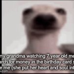 real | my grandma watching 7 year old me search for money in the birthday card she gave me (she put her heart and soul into it) | image tagged in gifs,dog | made w/ Imgflip video-to-gif maker
