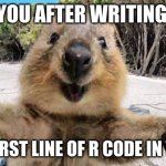 welcoming quokka | YOU AFTER WRITING; YOUR FIRST LINE OF R CODE IN VSCODE | image tagged in welcoming quokka | made w/ Imgflip meme maker