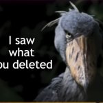 Bird I saw what you deleted-