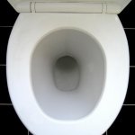 TOILET | USE THE TOILET; NO IT'S STINKS | image tagged in toilet | made w/ Imgflip meme maker