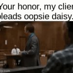 they do this a lot | "Your honor, my client pleads oopsie daisy." | image tagged in gifs,read the tags,funny | made w/ Imgflip video-to-gif maker