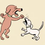 dog fighting a tiny dog meme