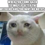 crying cat | WHEN YOU COME BACK TO IMGFLIP AFTER THE WEEKEND AND YOU HAVE NO NOTIFS: | image tagged in crying cat | made w/ Imgflip meme maker