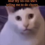 habibi cat Meme Generator - Imgflip