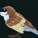 sparrow template