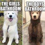 The Girls bathroom vs the Boys bathroom | THE BOYS BATHROOM; THE GIRLS BATHROOM | image tagged in before and after clean vs dirty dog,bathroom | made w/ Imgflip meme maker