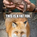 Important fox facts