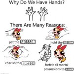 Blossom >:]]] | BLOSSOM; BLOSSOM; BLOSSOM; BLOSSOM | image tagged in why do we have hands | made w/ Imgflip meme maker