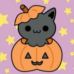 kitty in pumpkin