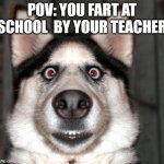 dogs face when he has to fart | POV: YOU FART AT SCHOOL  BY YOUR TEACHER | image tagged in dogs face when he has to fart | made w/ Imgflip meme maker
