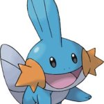 mudkip