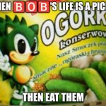 ?️?️?️ | WHEN 🅱️🅾️🅱️'S LIFE IS A PICKLE; THEN EAT THEM | image tagged in pickle sonic | made w/ Imgflip meme maker