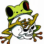 Frog hugging a skull