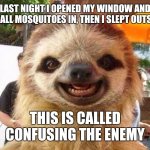Thank you | LAST NIGHT I OPENED MY WINDOW AND LET ALL MOSQUITOES IN, THEN I SLEPT OUTSIDE; THIS IS CALLED CONFUSING THE ENEMY | image tagged in memes,sloth,mosquito,sleep | made w/ Imgflip meme maker