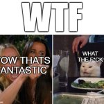 wtf. wow thats fantastic. more like what the f*ck | WTF; WHAT THE F*CK; WOW THATS FANTASTIC | image tagged in angry lady cat | made w/ Imgflip meme maker