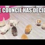 the council has decided