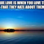 Inspirational Quote | TRUE LOVE IS WHEN YOU LOVE THE THINGS THAT THEY HATE ABOUT THEMSELVES | image tagged in inspirational quote | made w/ Imgflip meme maker
