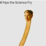 fry