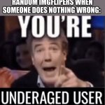 Seriously tho | RANDOM IMGFLIPERS WHEN SOMEONE DOES NOTHING WRONG: | image tagged in you re underage user | made w/ Imgflip meme maker