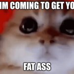 balls | IM COMING TO GET YO; FAT ASS | image tagged in balls | made w/ Imgflip meme maker