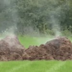 Steaming pile of horse manure horseshit bullshit