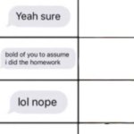 Can I copy your homework but smaller squares meme