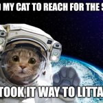 Kitty cat astronaut in space | I TOLD MY CAT TO REACH FOR THE STARS; HE TOOK IT WAY TO LITTARLY | image tagged in kitty cat astronaut in space | made w/ Imgflip meme maker