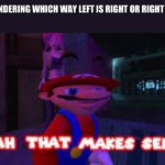 yeah that makes sense | ME WONDERING WHICH WAY LEFT IS RIGHT OR RIGHT IS LEFT | image tagged in yeah that makes sense | made w/ Imgflip meme maker