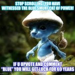 He is really rare as a fairy | STOP SCROLLING! YOU HAVE WITNESSED THE BLUE SMURF CAT OF POWER! IF U UPVOTE AND COMMENT “BLUE” YOU WILL GET LUCK FOR 69 YEARS | image tagged in blue smurf cat | made w/ Imgflip meme maker