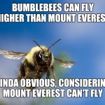 Bumblebee in flight | BUMBLEBEES CAN FLY HIGHER THAN MOUNT EVEREST; KINDA OBVIOUS, CONSIDERING MOUNT EVEREST CAN'T FLY | image tagged in meme,bumblebee,everest,fly | made w/ Imgflip meme maker